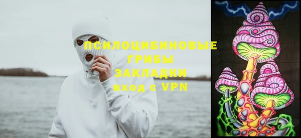 круглые Иннополис