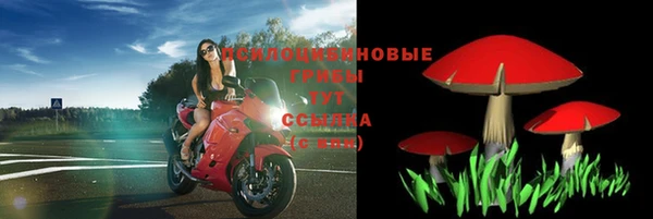 герыч Инсар