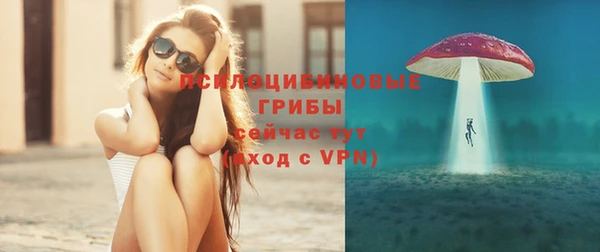 круглые Иннополис