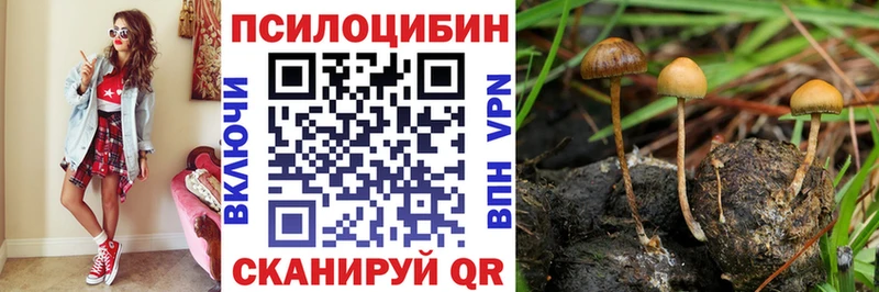 Галлюциногенные грибы GOLDEN TEACHER  Ачинск 